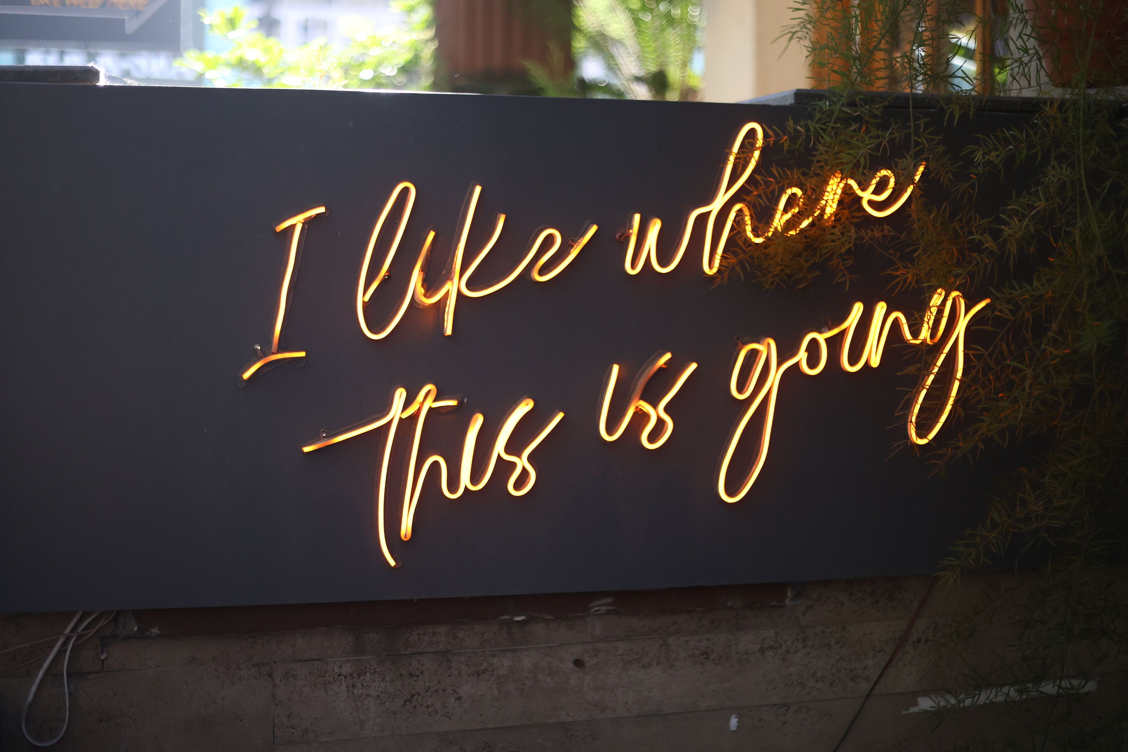 A neon sign with the text "I like where this is going" on a dark background.