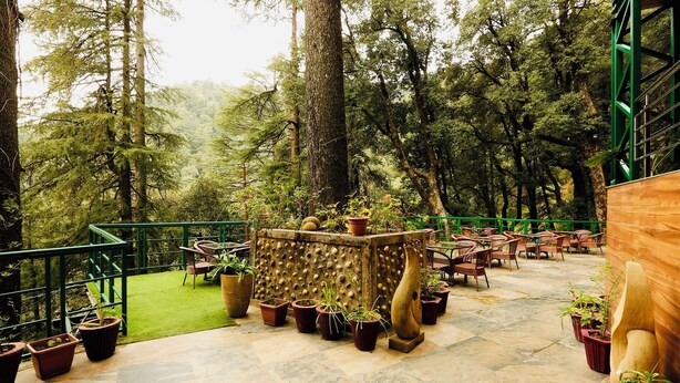 An outdoor seating area with tables and chairs, surrounded by potted plants and trees.