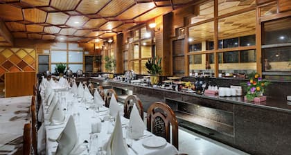 Bravia Hotel Manali Inn