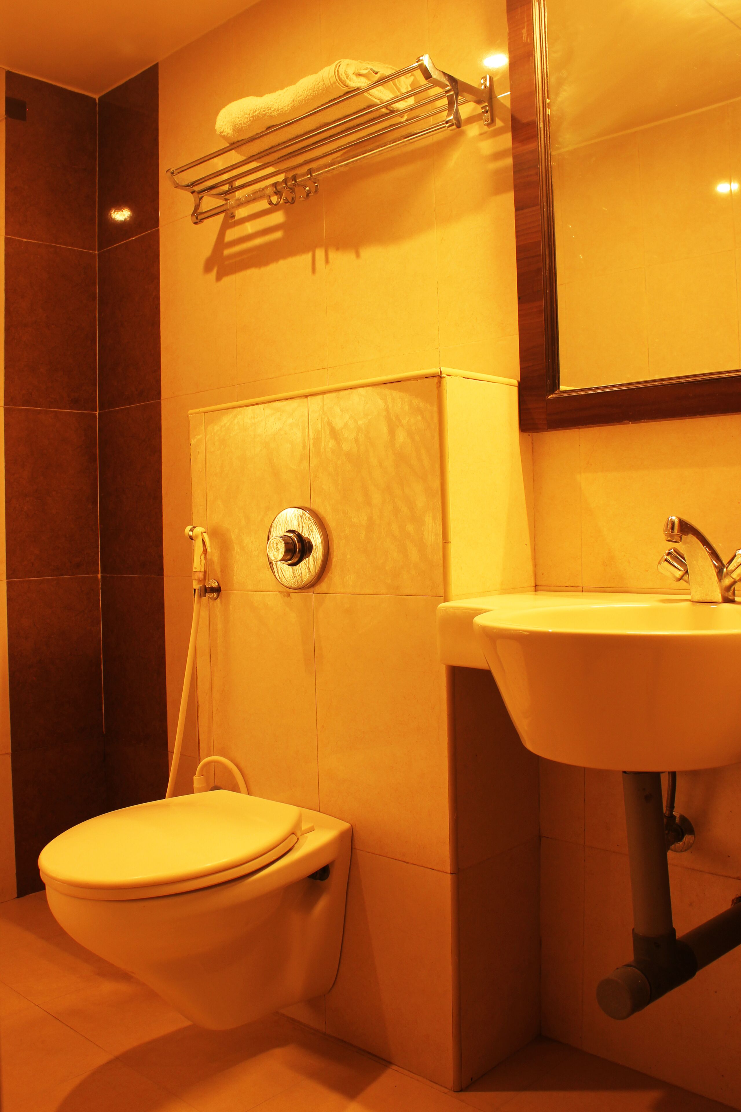 Une salle de bain équipée de toilettes, d’un lavabo et d’une douche.
