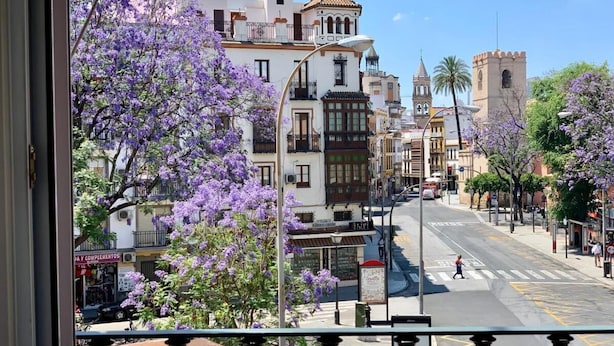 A street view with buildings, a pedestrian crossing, and purple flowering trees. - Hotel Doña Blanca (Seville)