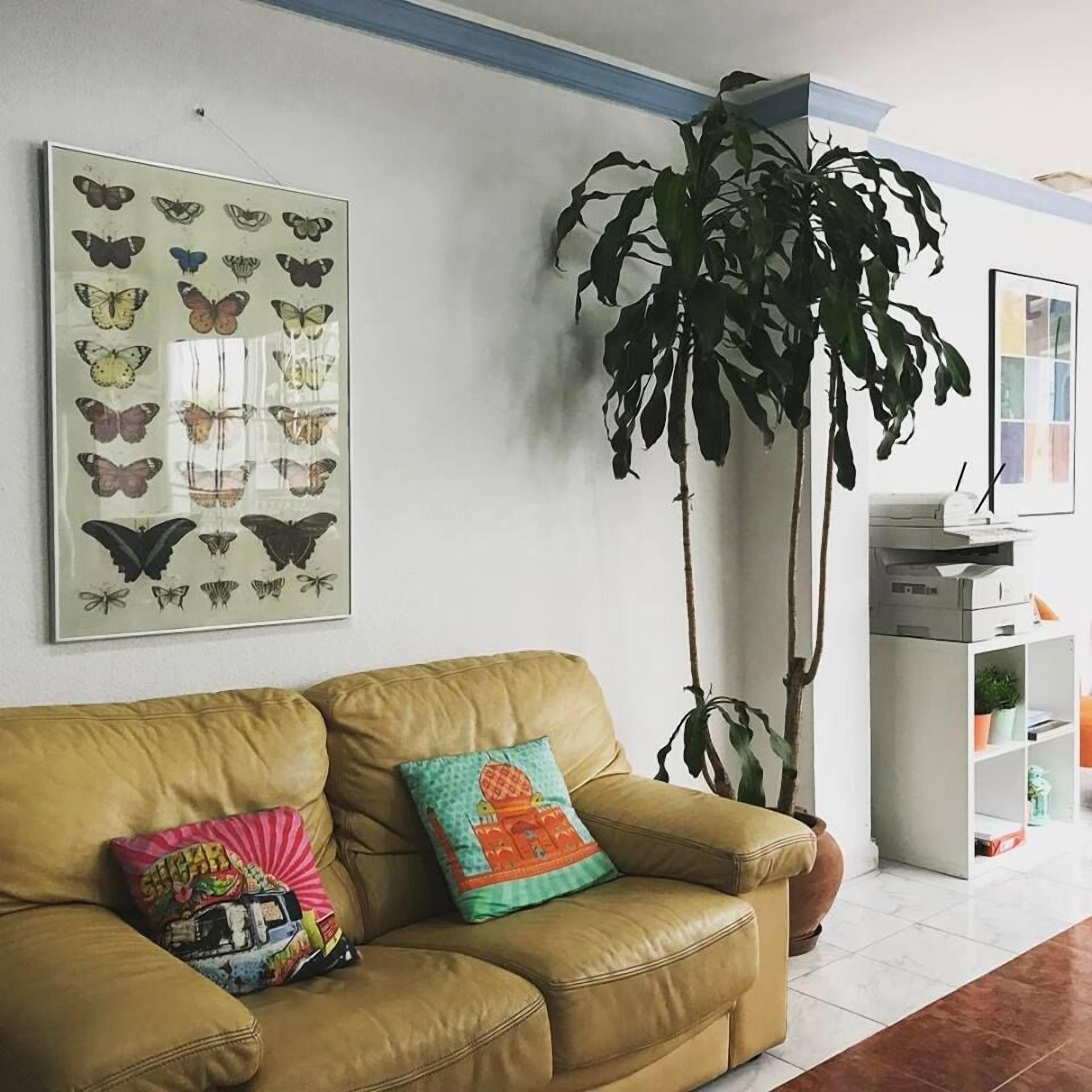 Foto - Hostal Berlin