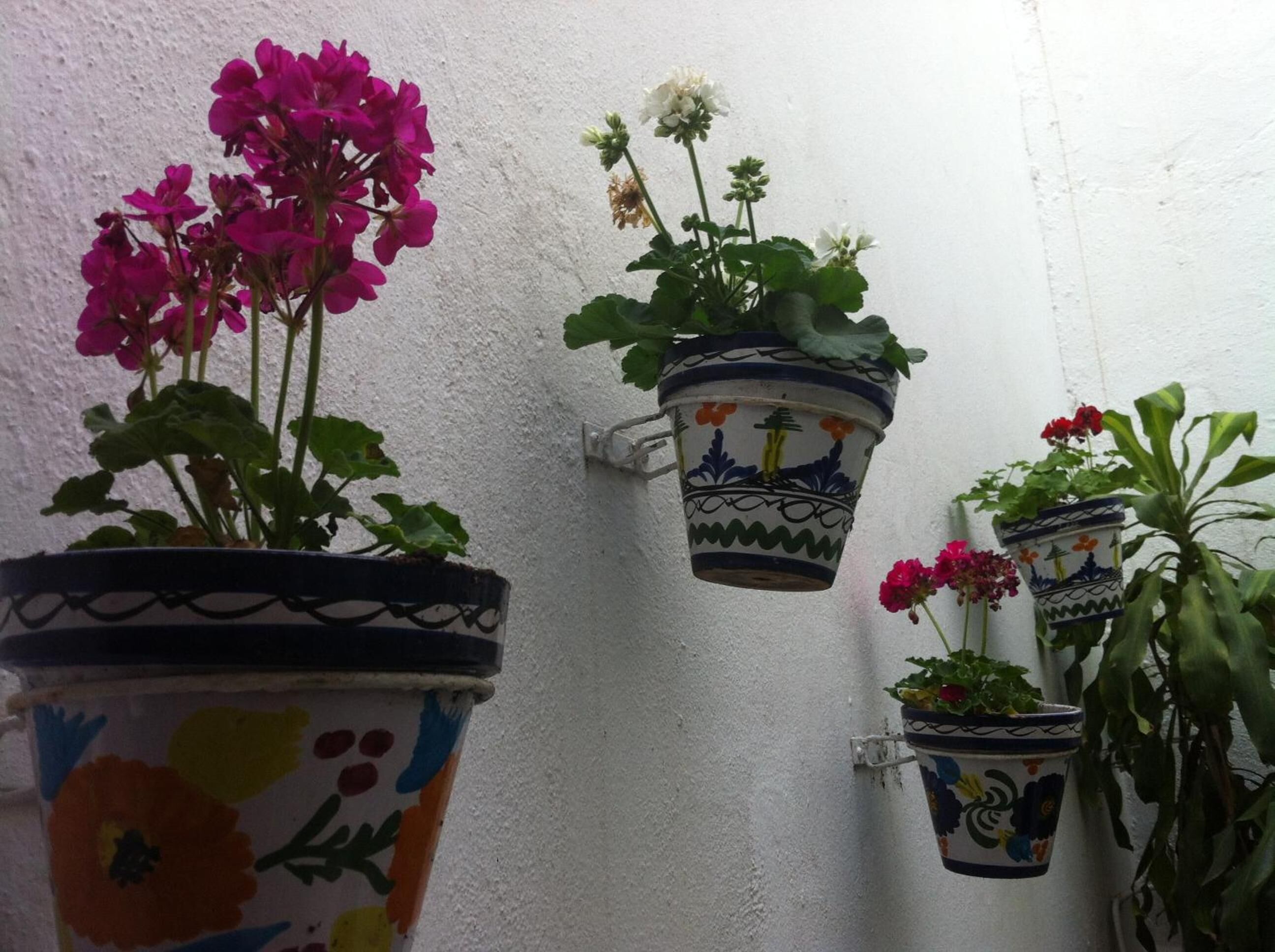 Foto - Hostal Berlin