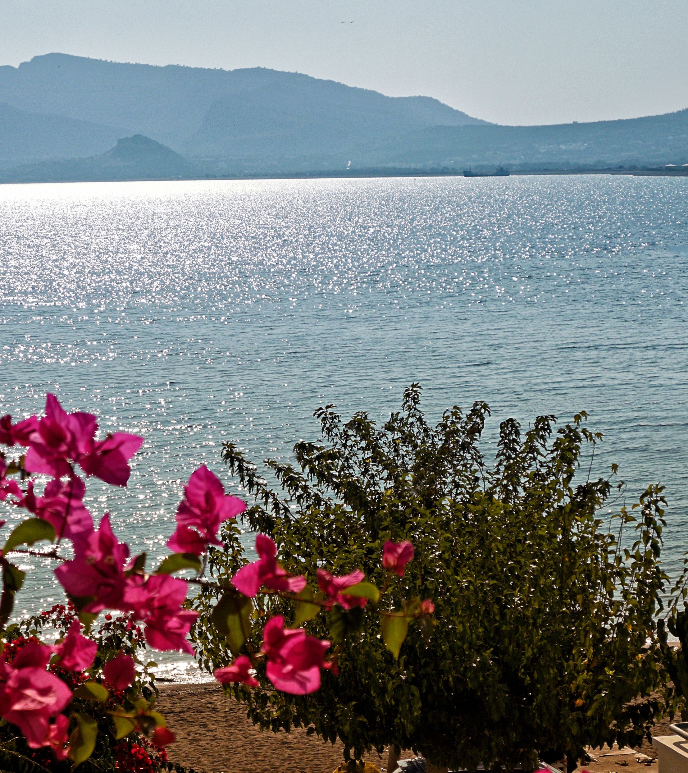 standard studio, partial sea view | view from room