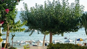 Zona de piscina con sillas de descanso y sombrillas, rodeada de vegetación y con vistas a un cuerpo de agua.