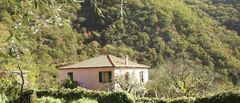 Uma casa pequena rosa com telhado de telhas, cercada por vegetação densa e colinas ao fundo.