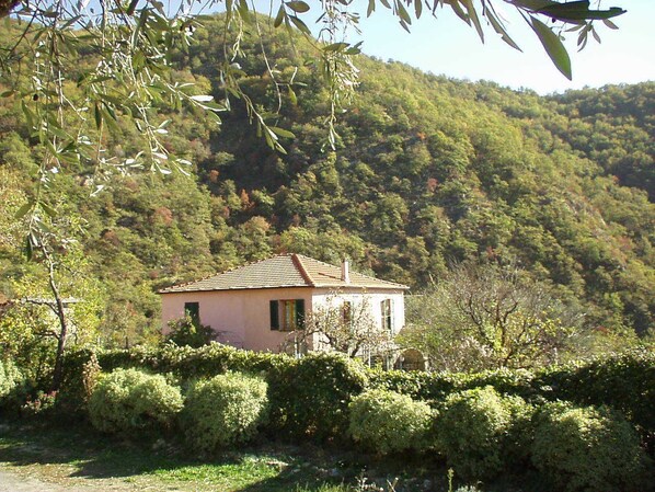 A small pink house with a tiled roof, surrounded by dense greenery and hills in the background.