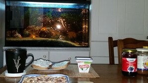 A room with a fish tank, a coffee mug, a bowl of cereal, and a plate with toast and jam. - RingAvenue Apartments (Budapest)