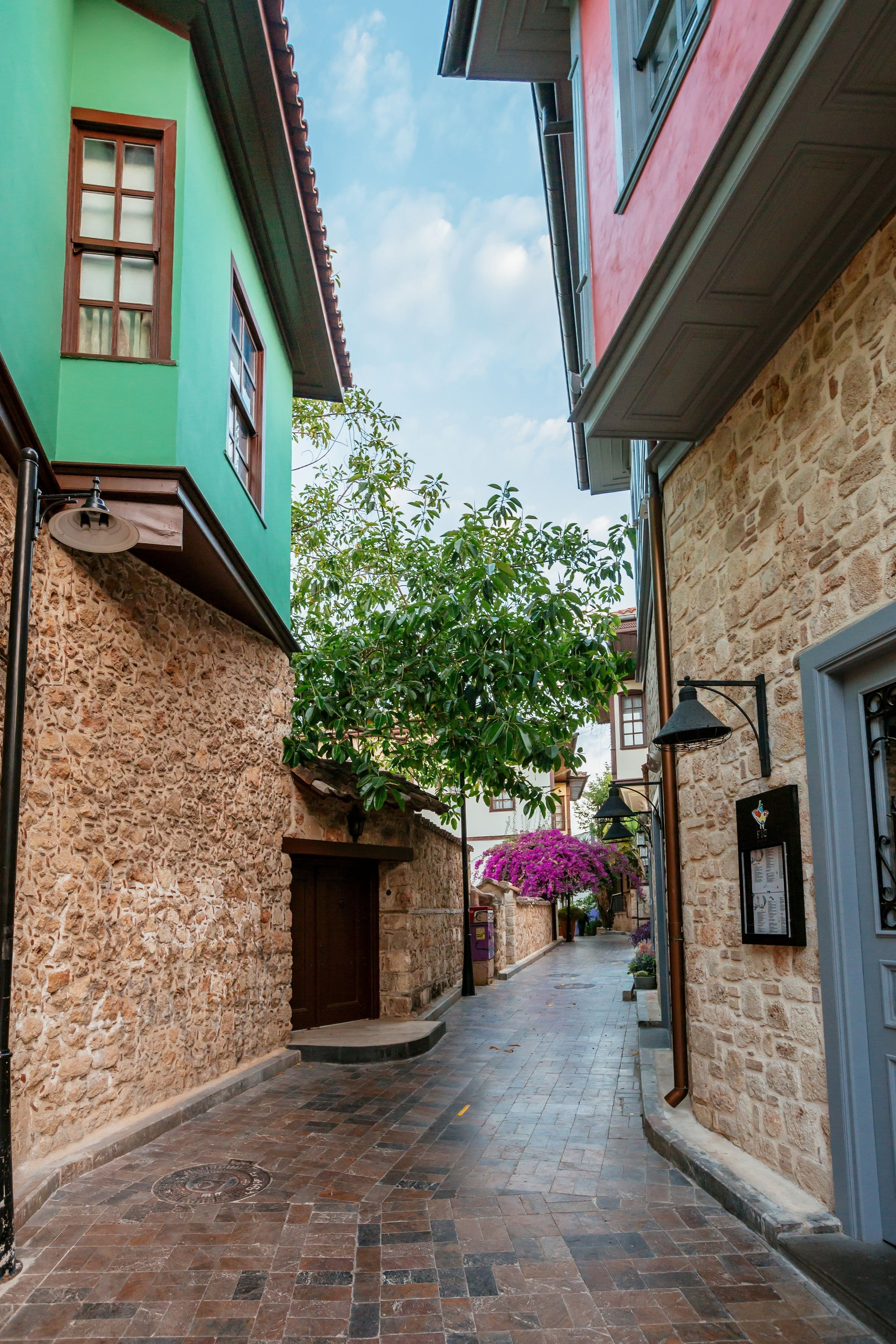 Vista desde la propiedad