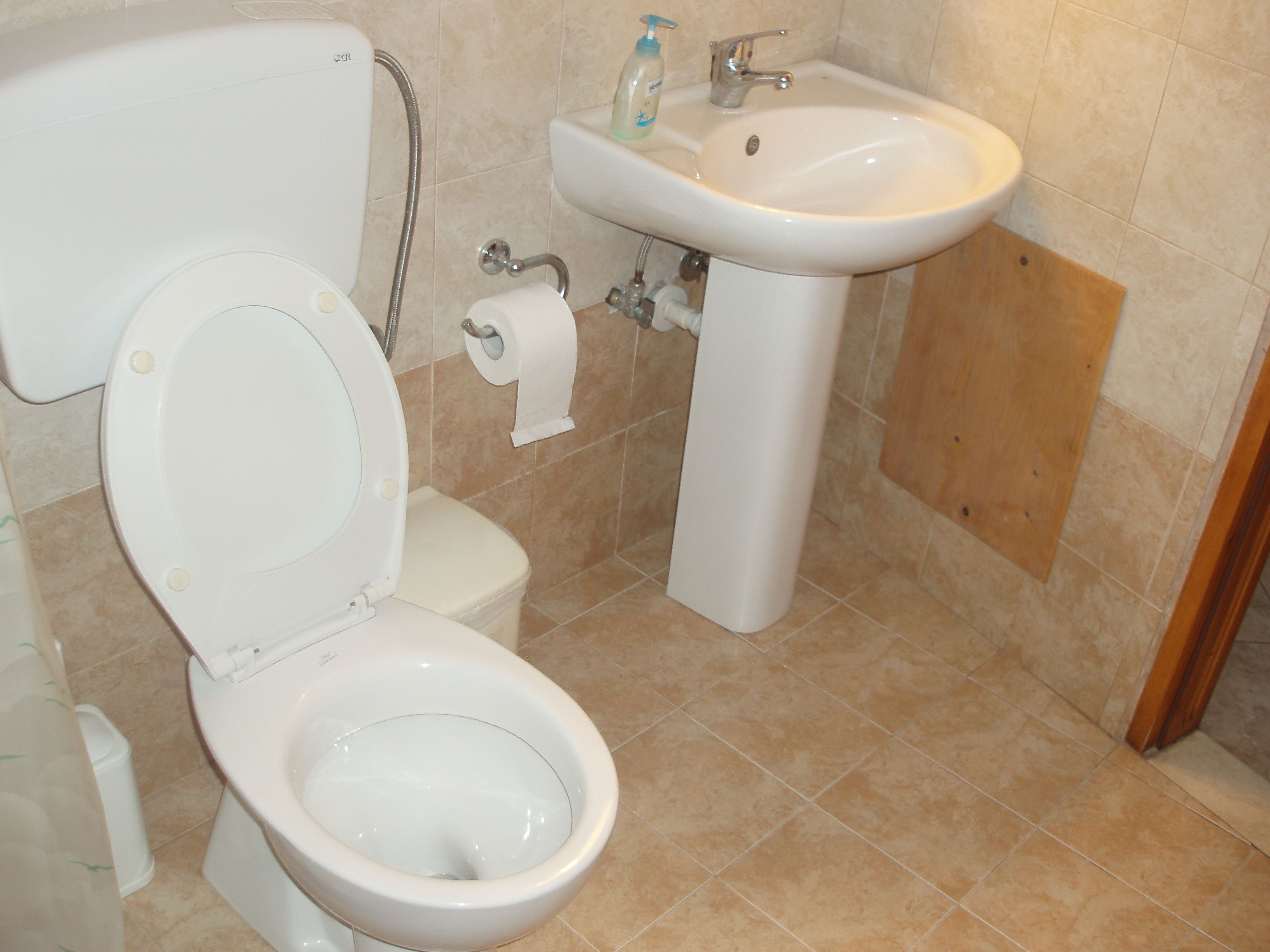 Un baño con inodoro, lavabo y ducha.