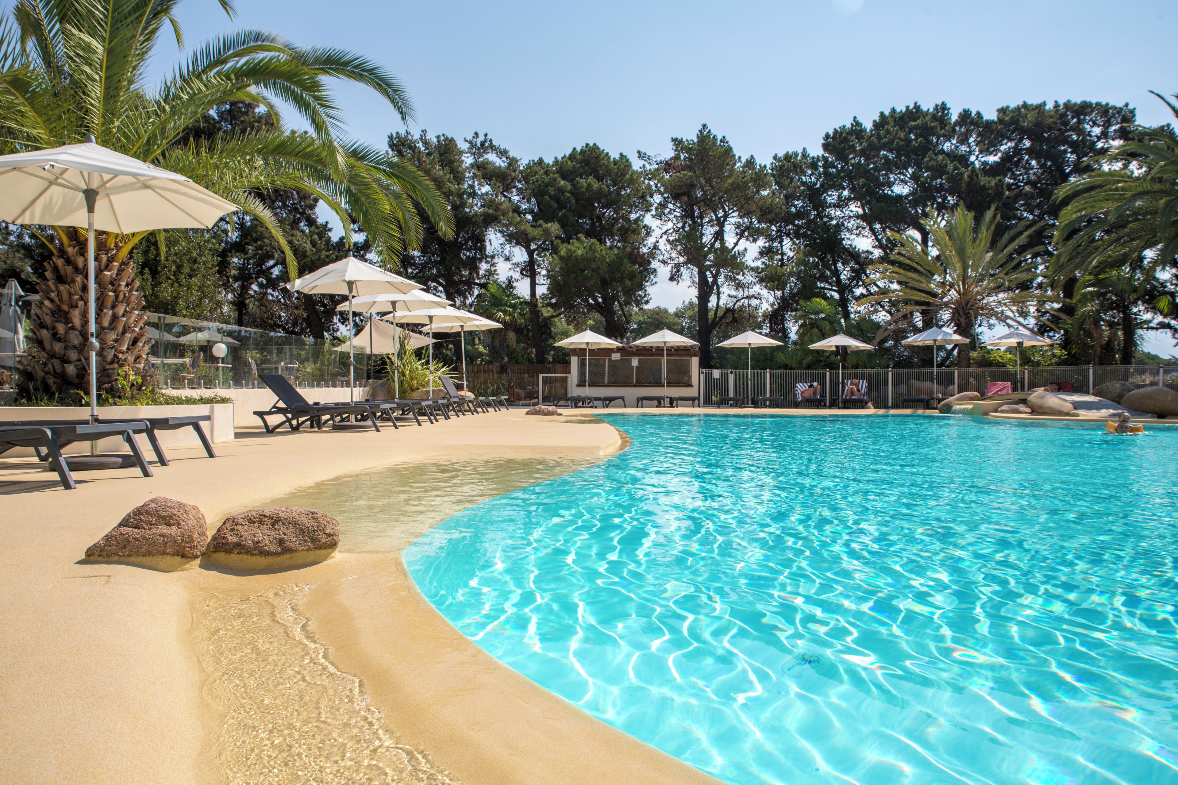 Piscina con sillas de descanso y sombrillas, rodeada de palmeras y una valla de madera.