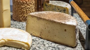 Variedad de quesos sobre una encimera de mármol en una habitación rústica con paredes de madera y mesas dispuestas para comer.