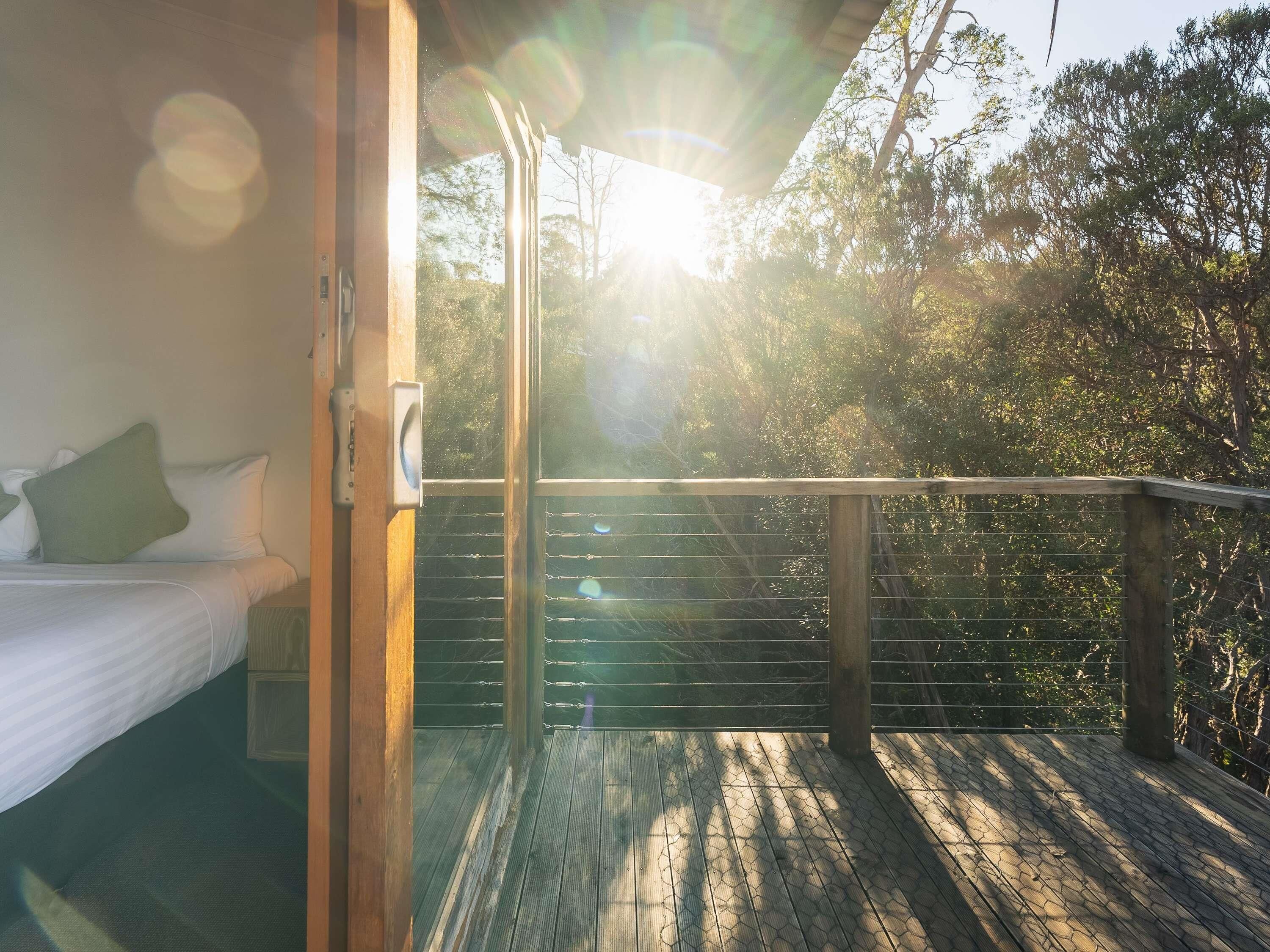 Cabin, 1 King Bed | Premium bedding, minibar, blackout curtains, iron/ironing board