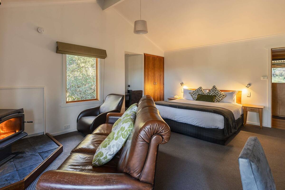 Een gezellige kamer met een open haard, een bed, een bank en een raam met uitzicht op groen.