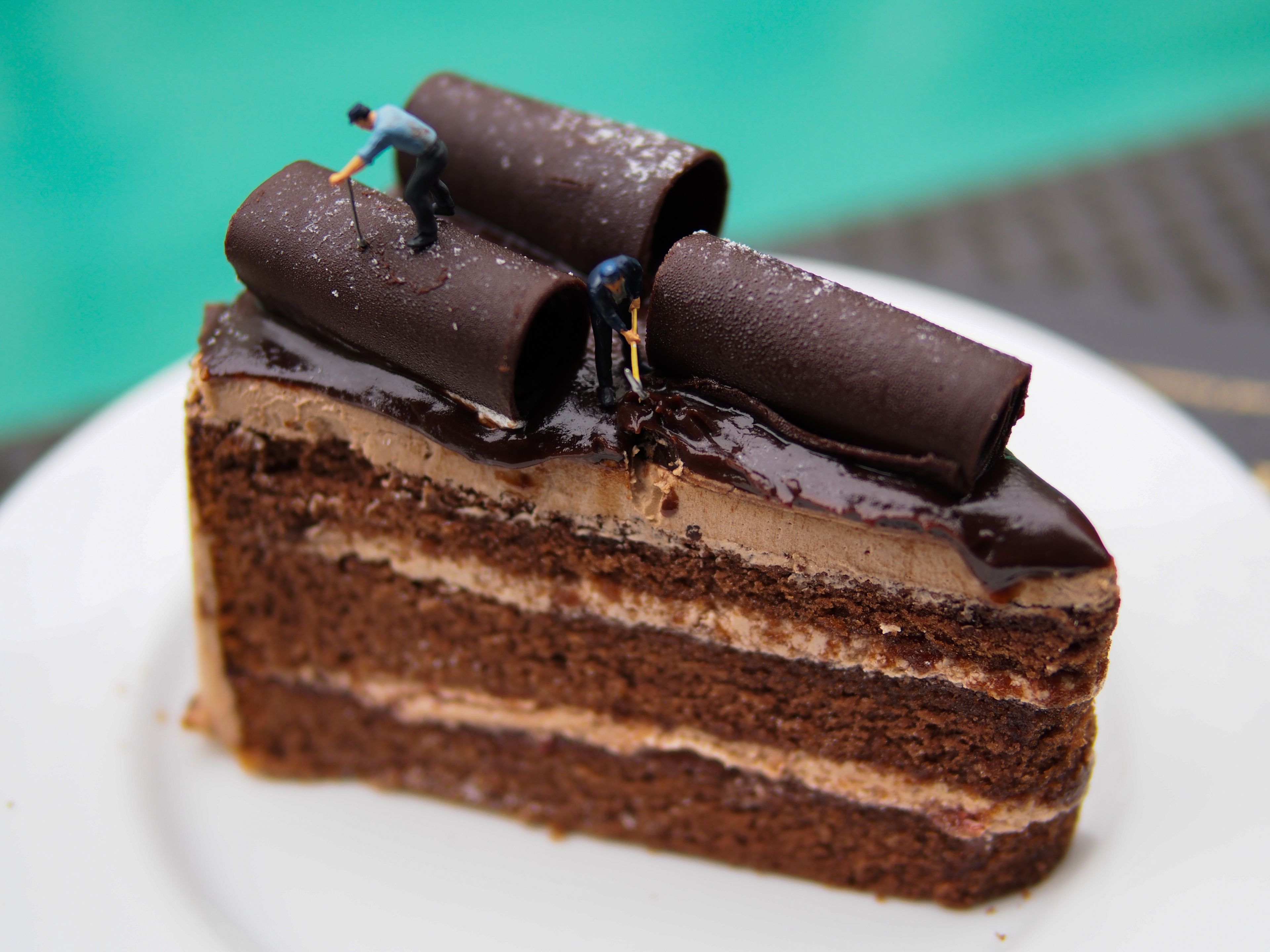 A slice of layered chocolate cake with a glossy chocolate glaze and decorative chocolate pieces on top.