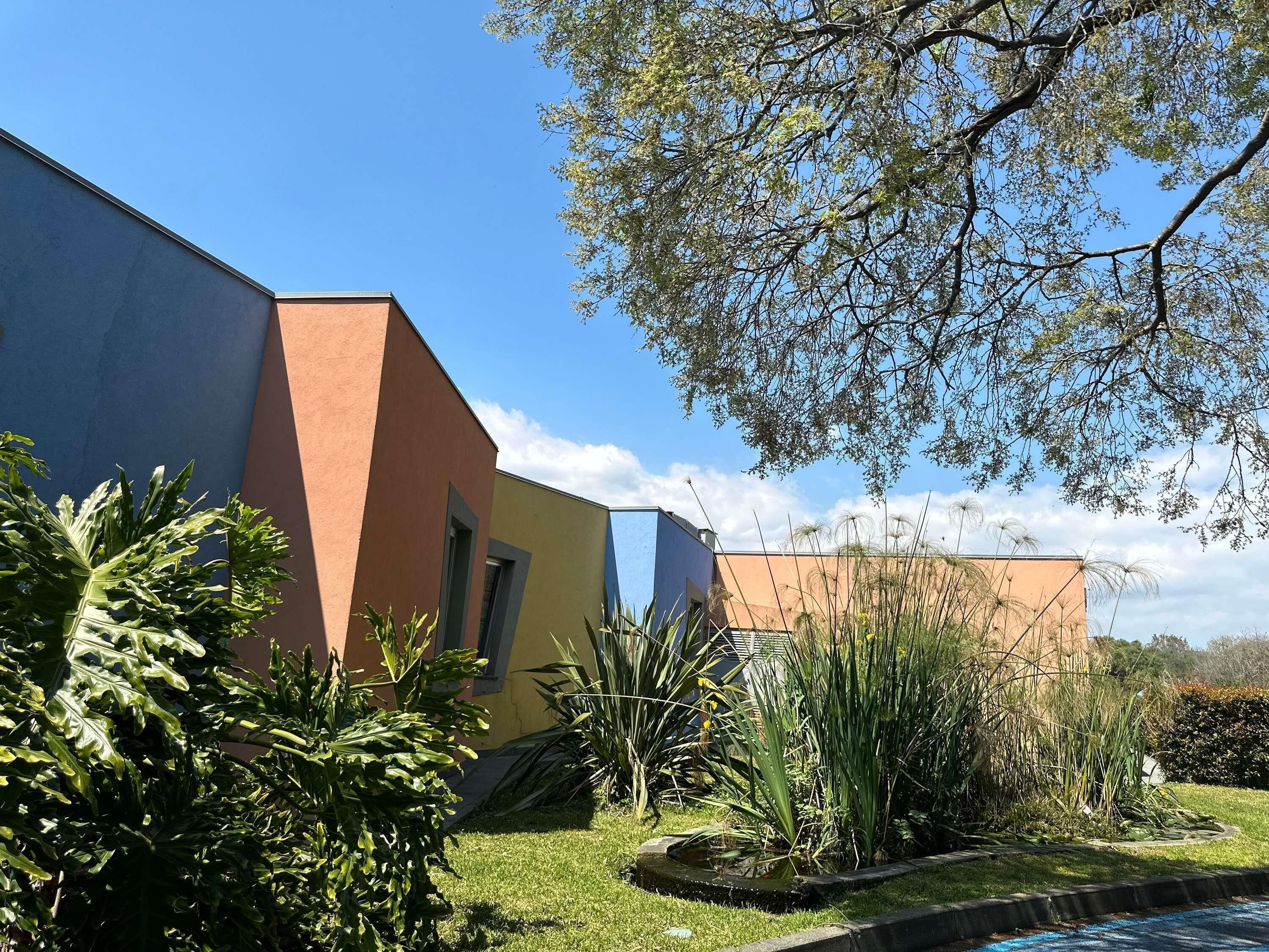 A modern building with a flat roof and a small garden area with various plants and a water feature.