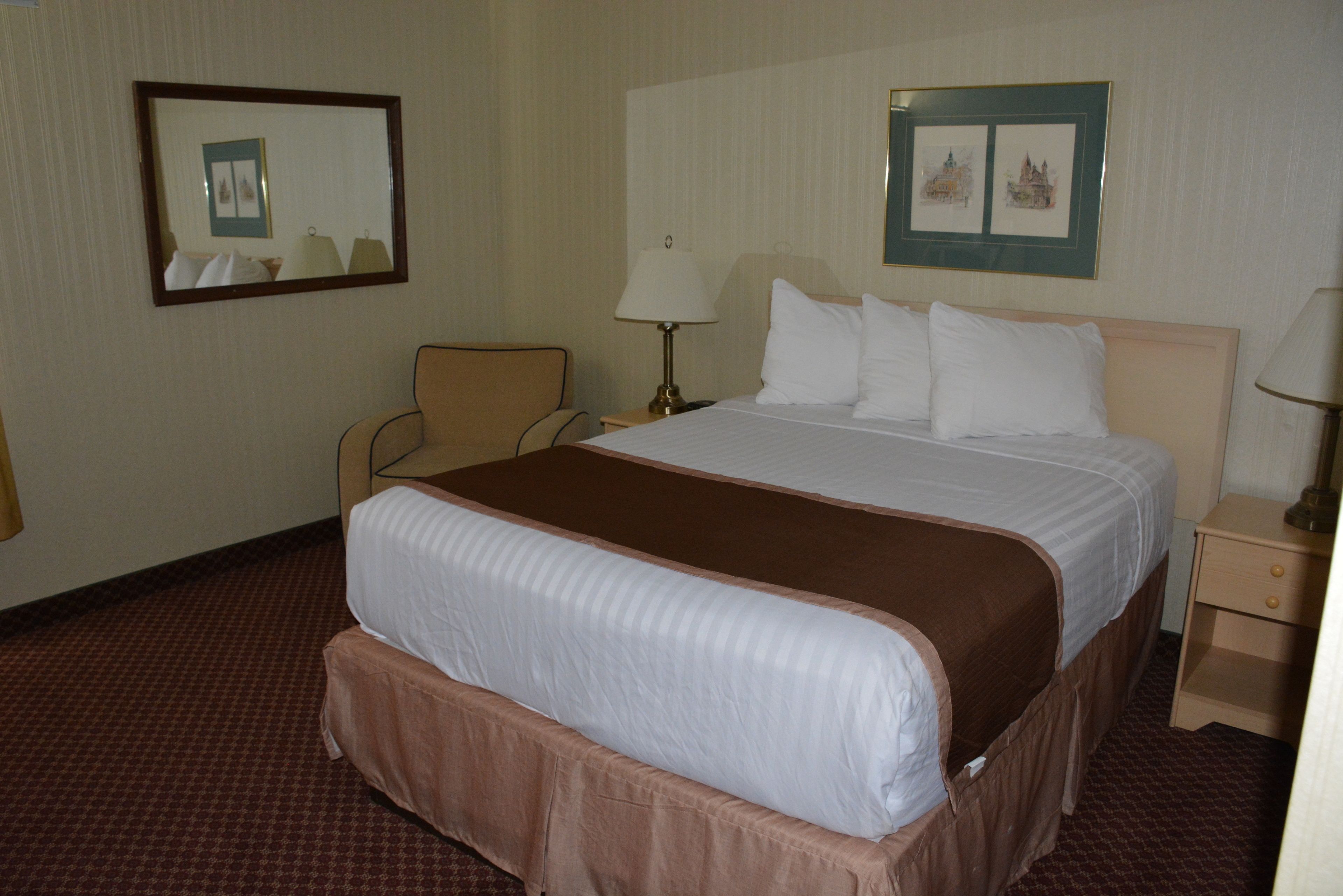 Habitación de hotel con una cama grande, una silla, una mesita de noche, una lámpara y dos cuadros en la pared.