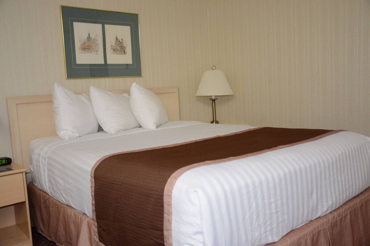 A neatly made bed with white and brown bedding, a bedside lamp, and a framed picture on the wall.