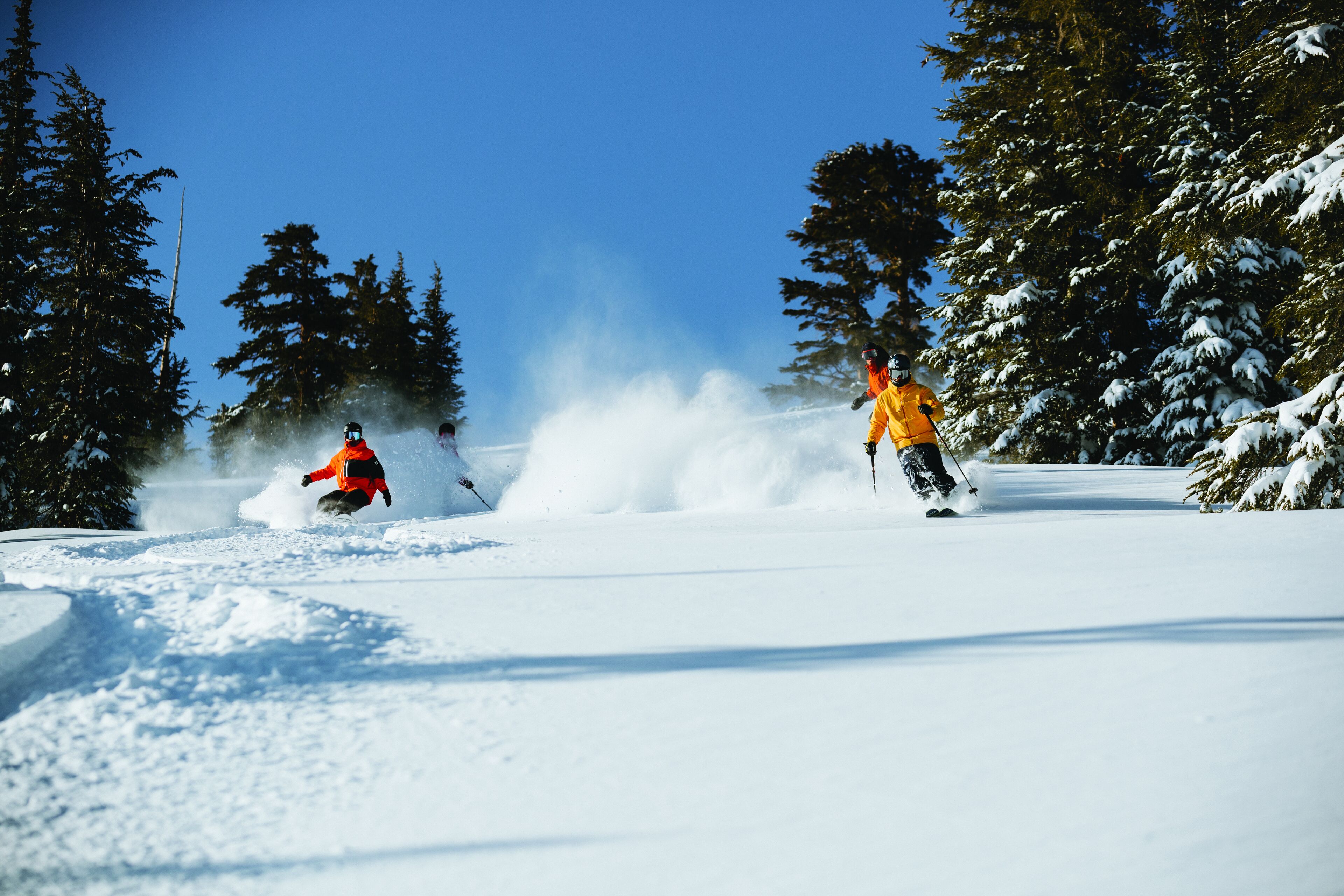 A snowy landscape with trees and a clear sky.