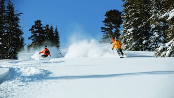 A snowy landscape with trees and a clear sky.