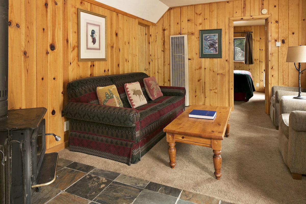 Ein gemütlicher Raum mit einer Holzwand, einem Sofa mit gemusterten Kissen, einem Holztisch und einem Kamin.