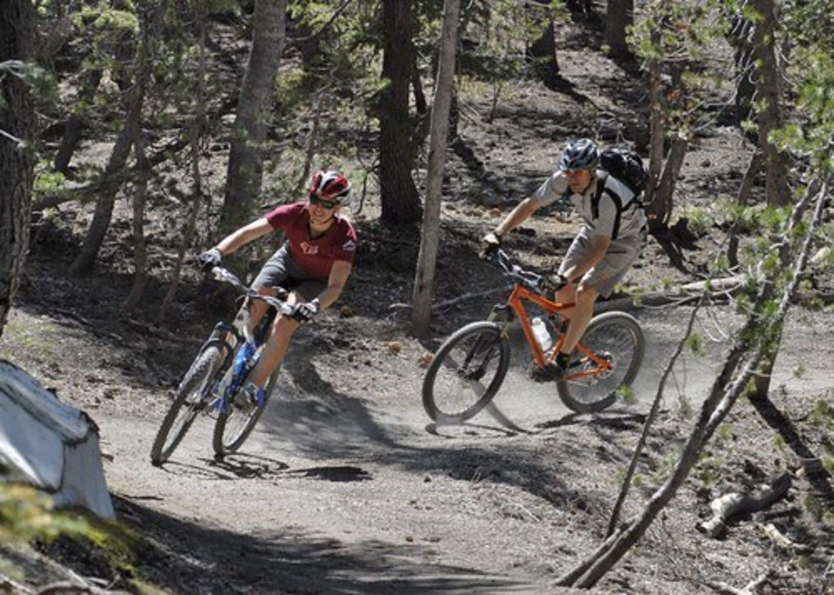 Two cyclists on a dirt trail surrounded by trees.