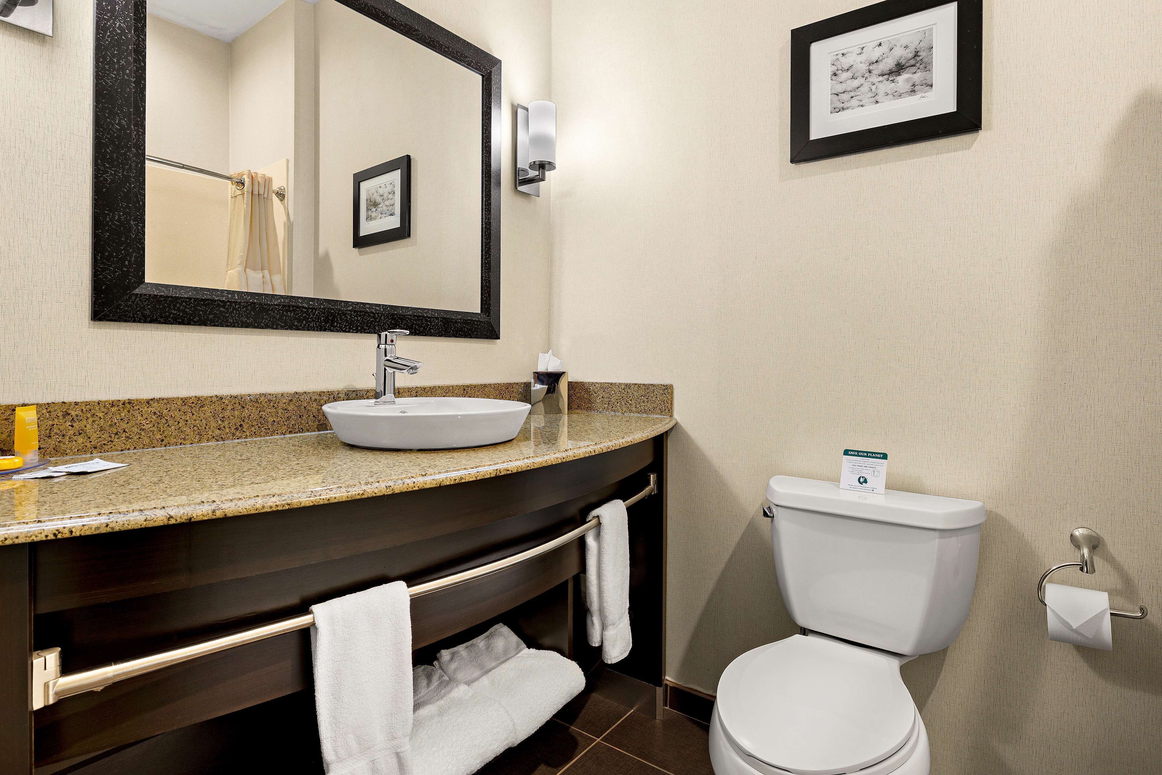 combined shower/bathtub, free toiletries, hair dryer, towels