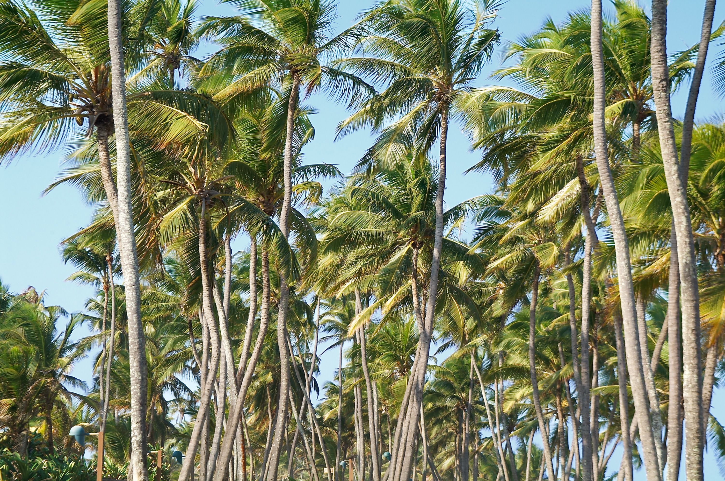 beach nearby, white sand
