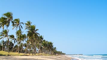 Perto da praia, areia branca
