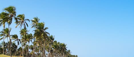 Una spiaggia nelle vicinanze, sabbia bianca