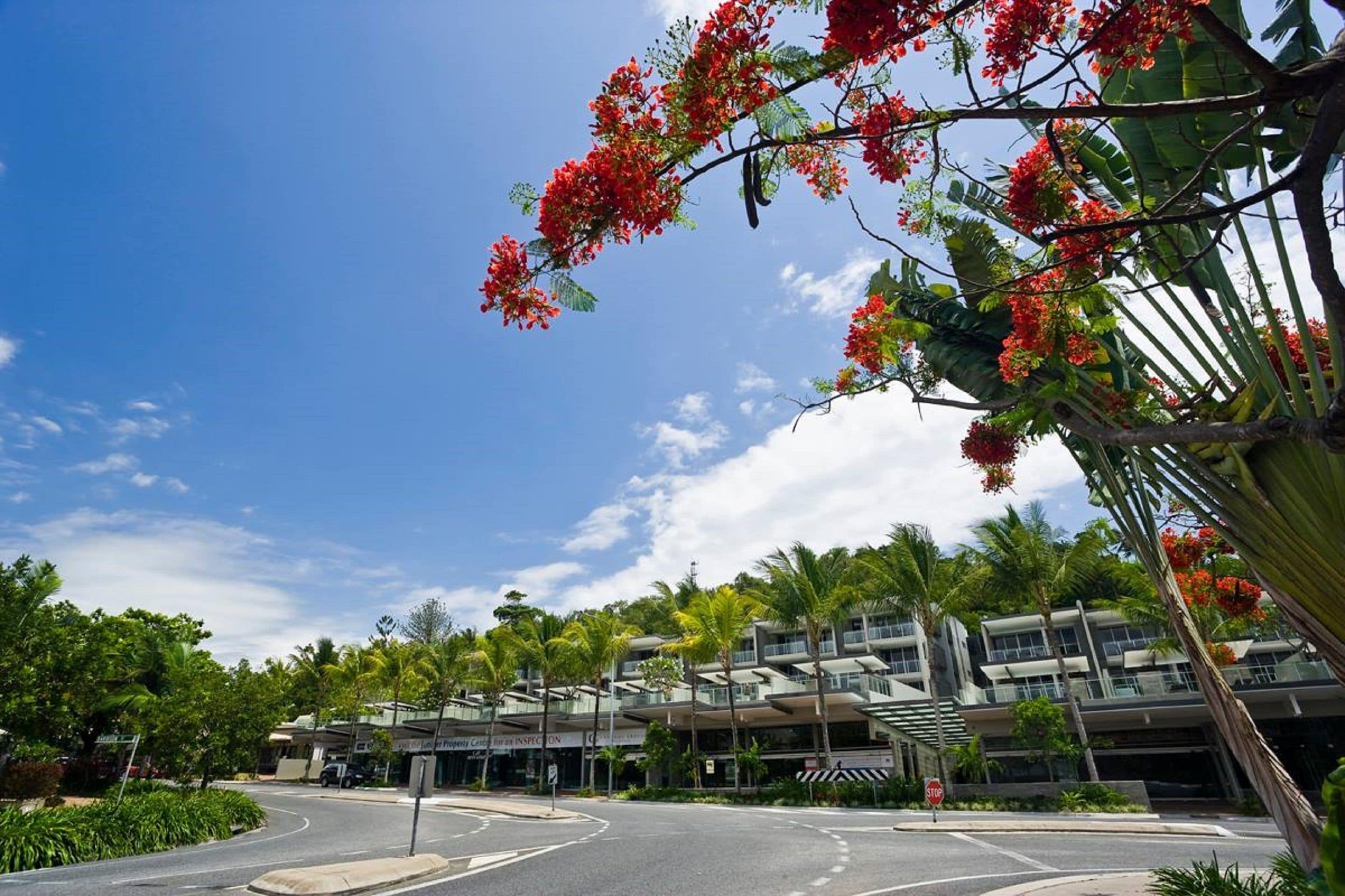 A modern hotel with a curved road, palm trees, and red flowers.