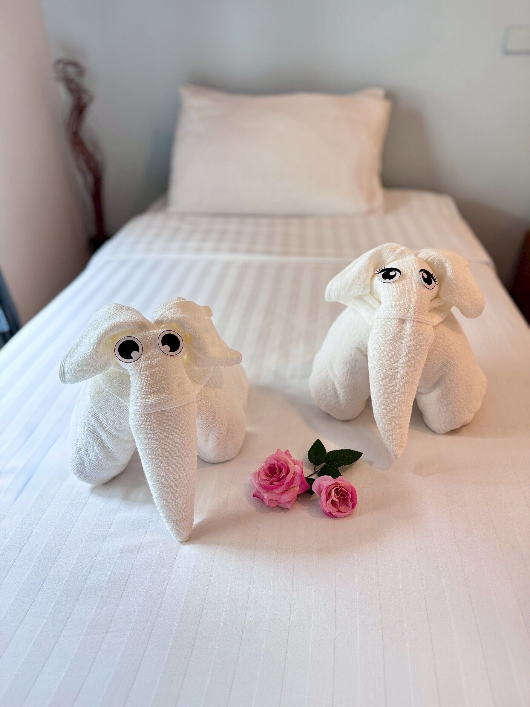 Photo - Nantra de Comfort