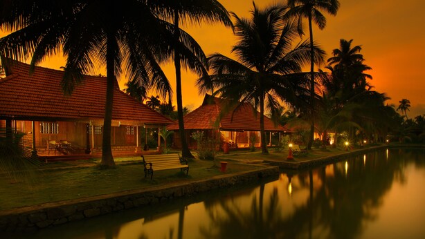 Un complexe hôtelier paisible situé au bord de l’eau, avec des palmiers et des bungalows sur pilotis.
