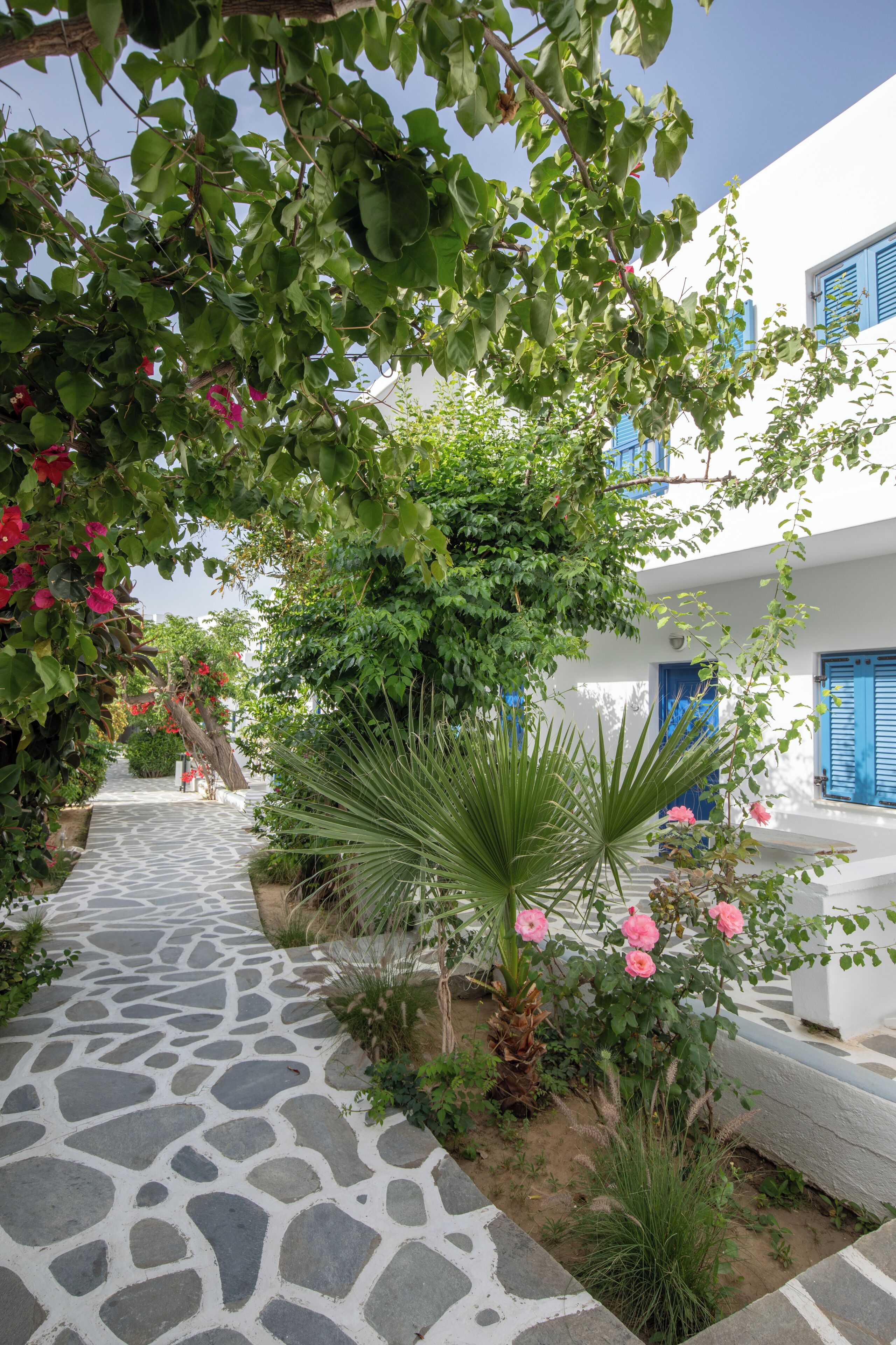 A stone pathway leading to a white building with blue shutters, surrounded by lush greenery and flowering plants.