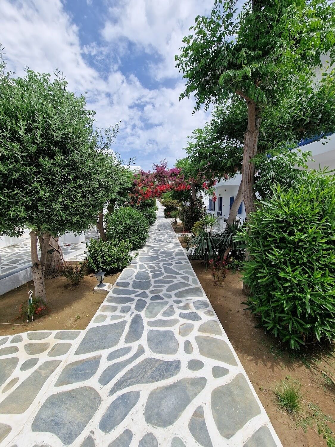 Ein gepflasterter Weg schlängelt sich durch einen Garten mit verschiedenen Pflanzen und Bäumen, gesäumt von weißen Gebäuden.