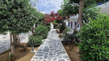 A stone pathway leading through a garden with various plants and trees, flanked by white buildings.