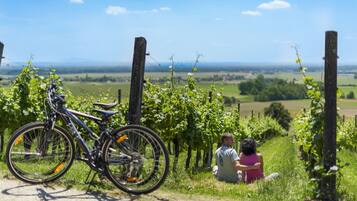 A bicycle parked in a vineyard with a scenic view of the countryside.