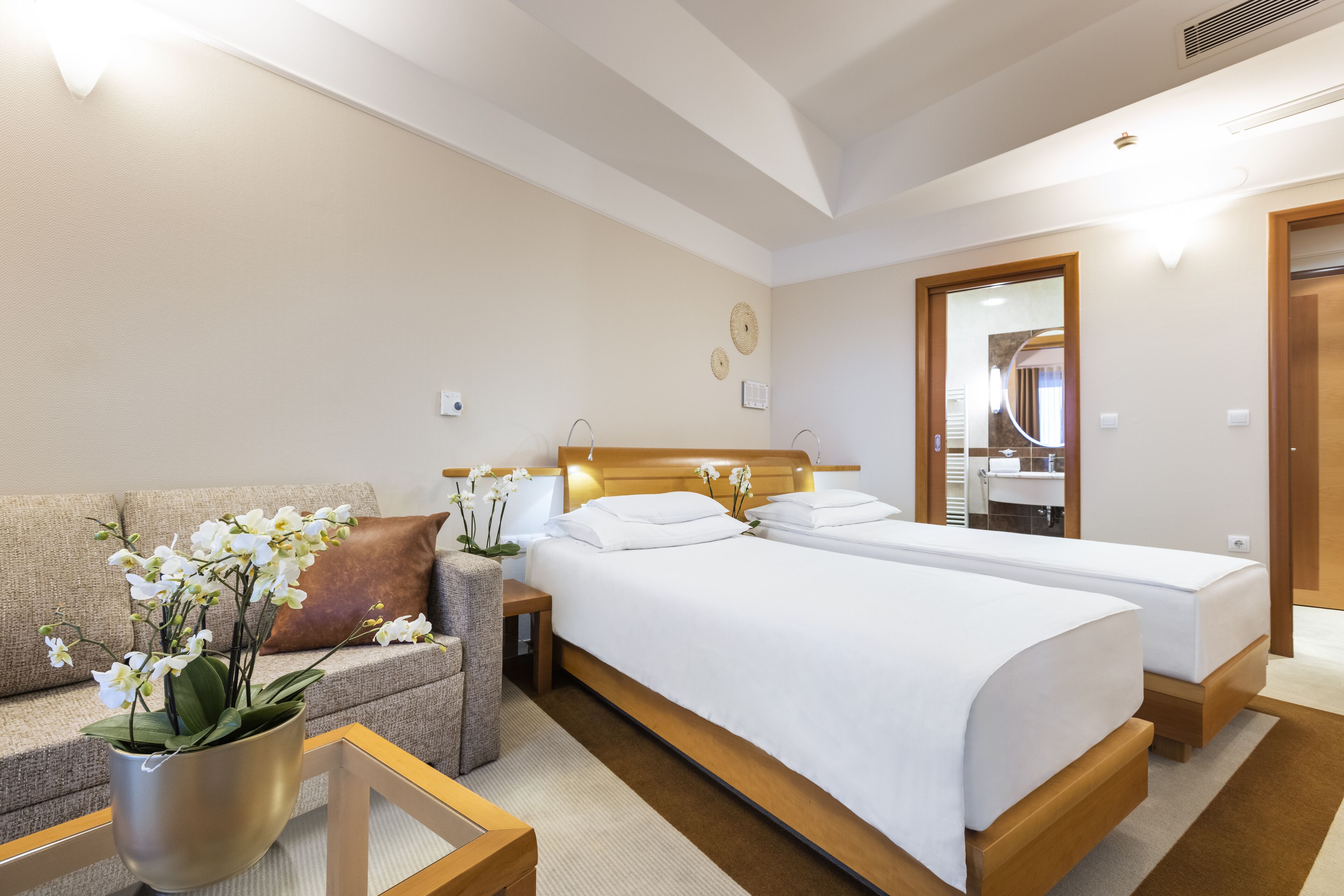 Habitación de hotel con cama, sofá, una mesita y una planta en maceta.