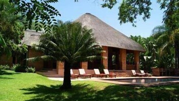 A house with a thatched roof, a swimming pool, and lounge chairs. - Dreamfields Guesthouse (Mbombela)