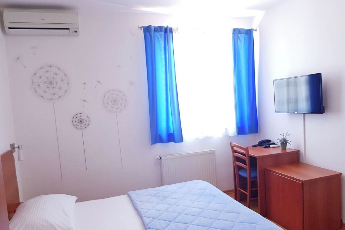 Un dormitorio con cama, escritorio, silla, televisor y radiador.