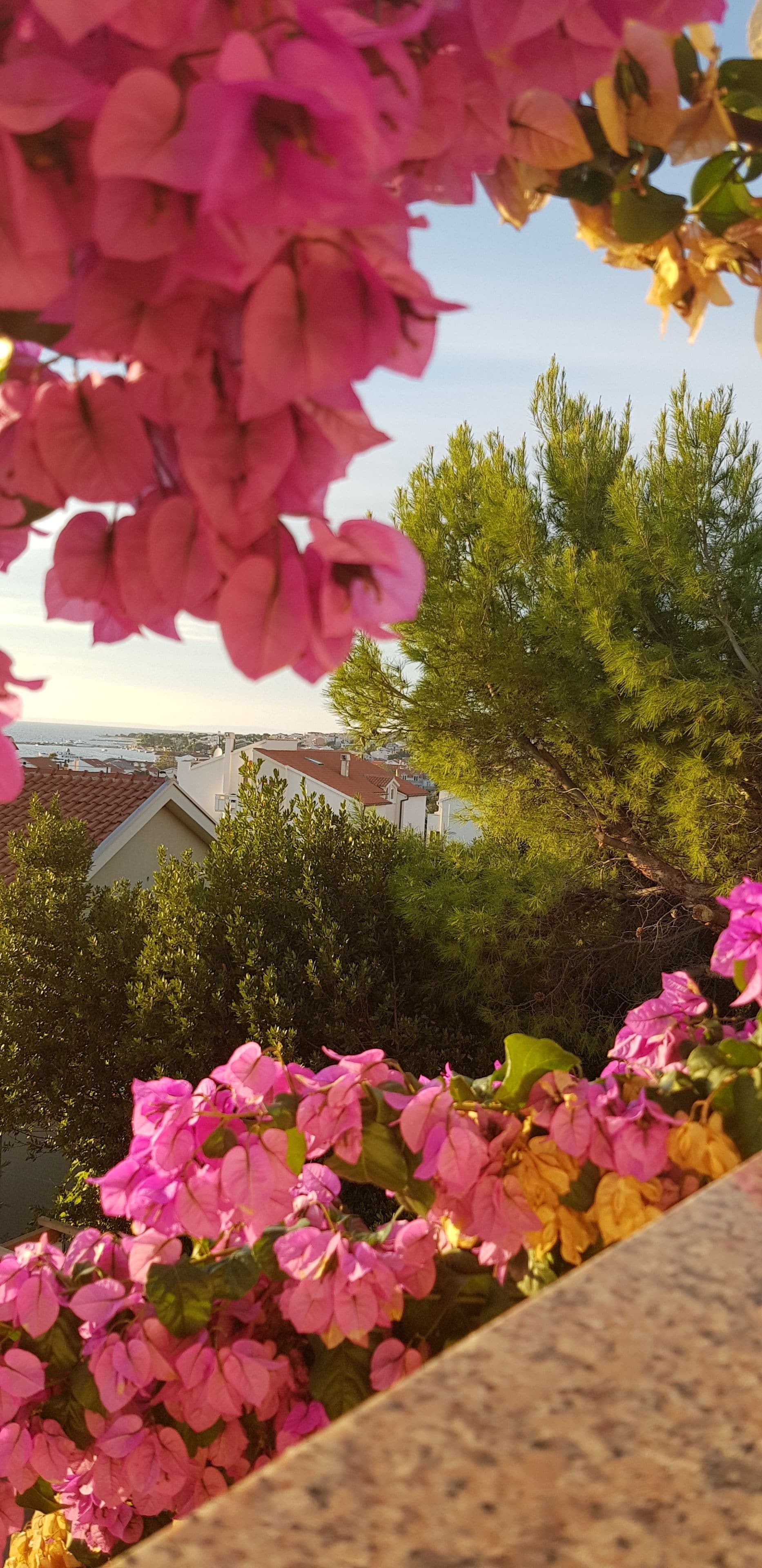 standard double room | city view