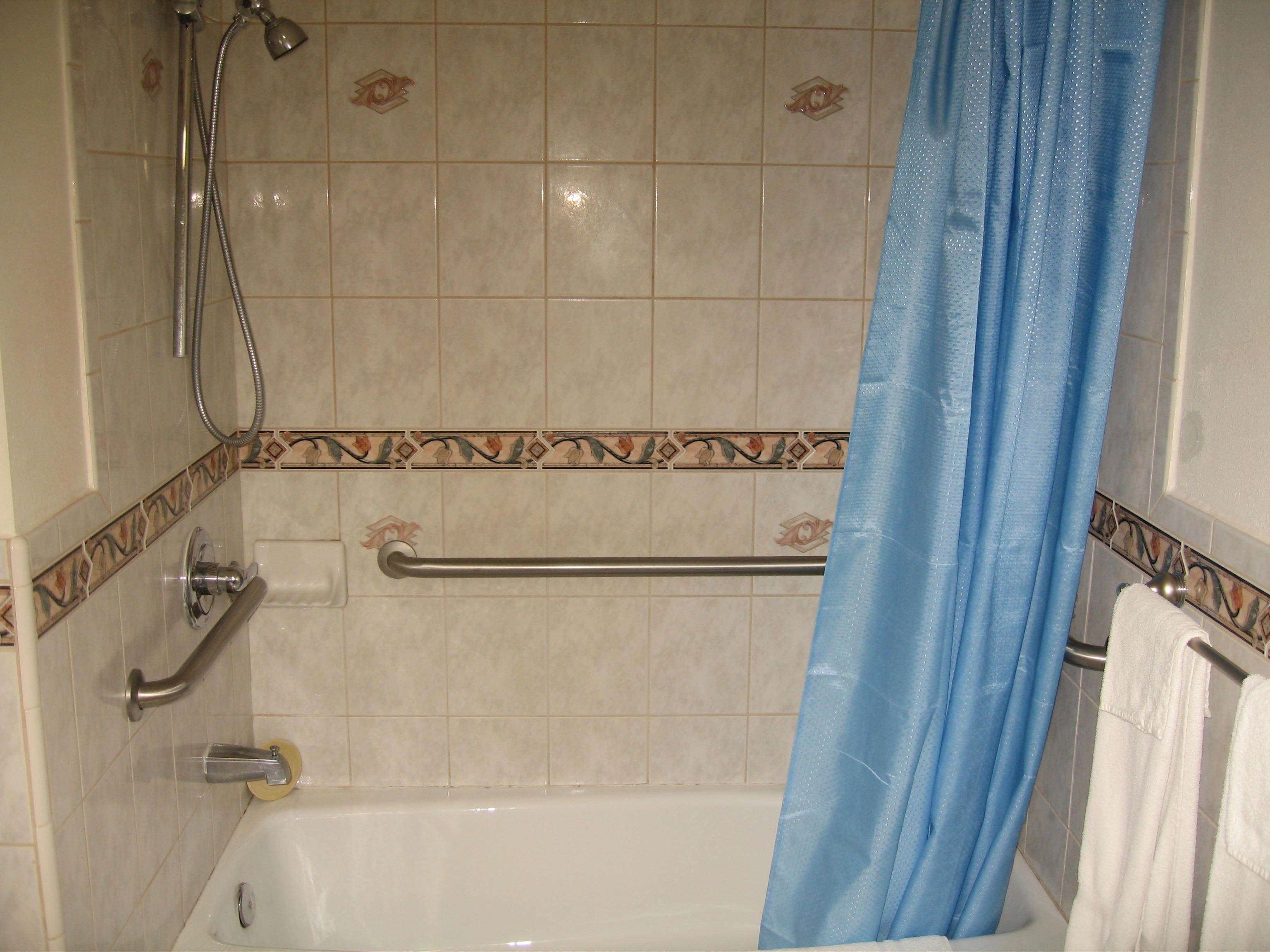 basic single room, accessible | bathroom shower