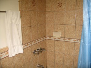 Douche de la salle de bain