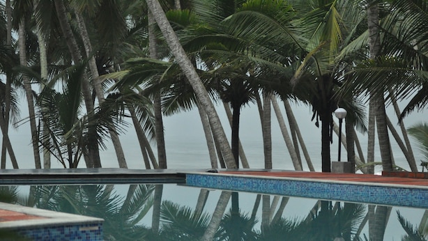 Una piscina con borde de azulejos y palmeras al fondo.