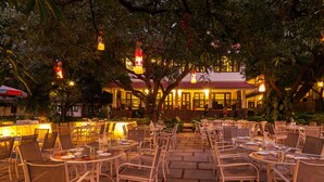An outdoor dining area with wicker chairs and tables, surrounded by trees and illuminated by hanging lanterns. - WelcomHeritage Golf View (Pipariya)