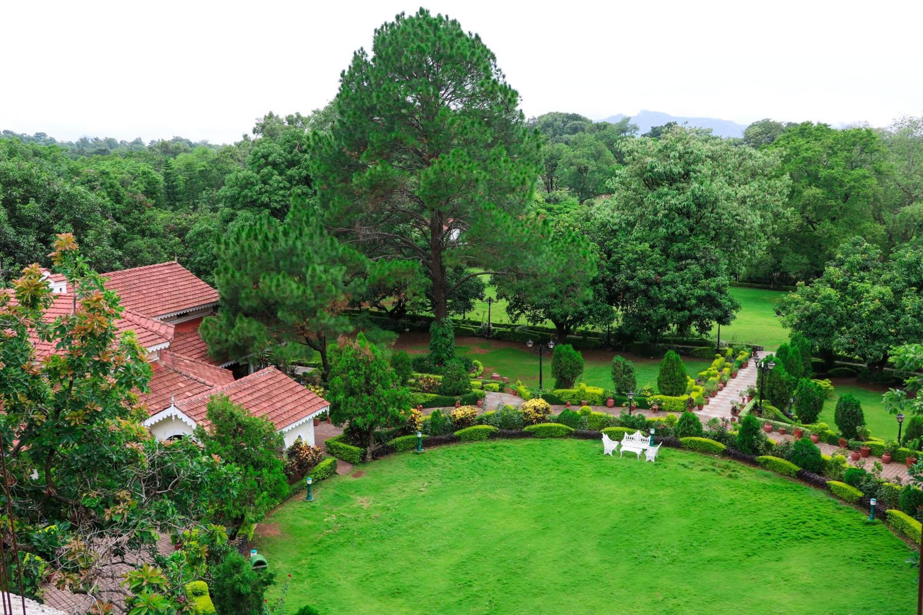 Un lussureggiante giardino con un grande albero, un gazebo e una statua bianca.