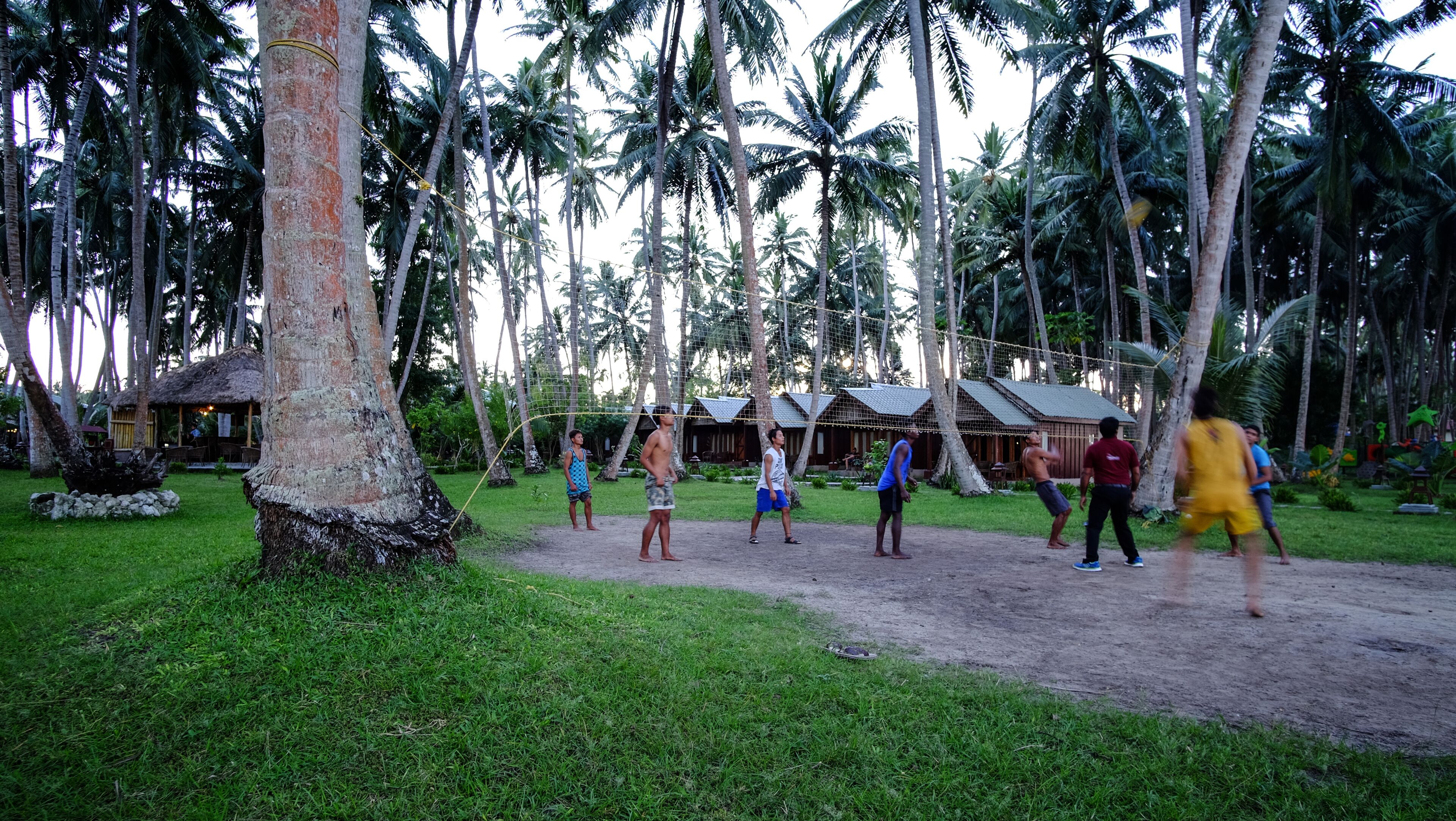 Un grupo de personas jugando un deporte en un campo cubierto de césped, con palmeras y chozas al fondo.