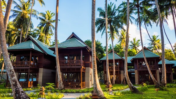 Un resort con varias cabañas de madera, exuberante vegetación y palmeras.