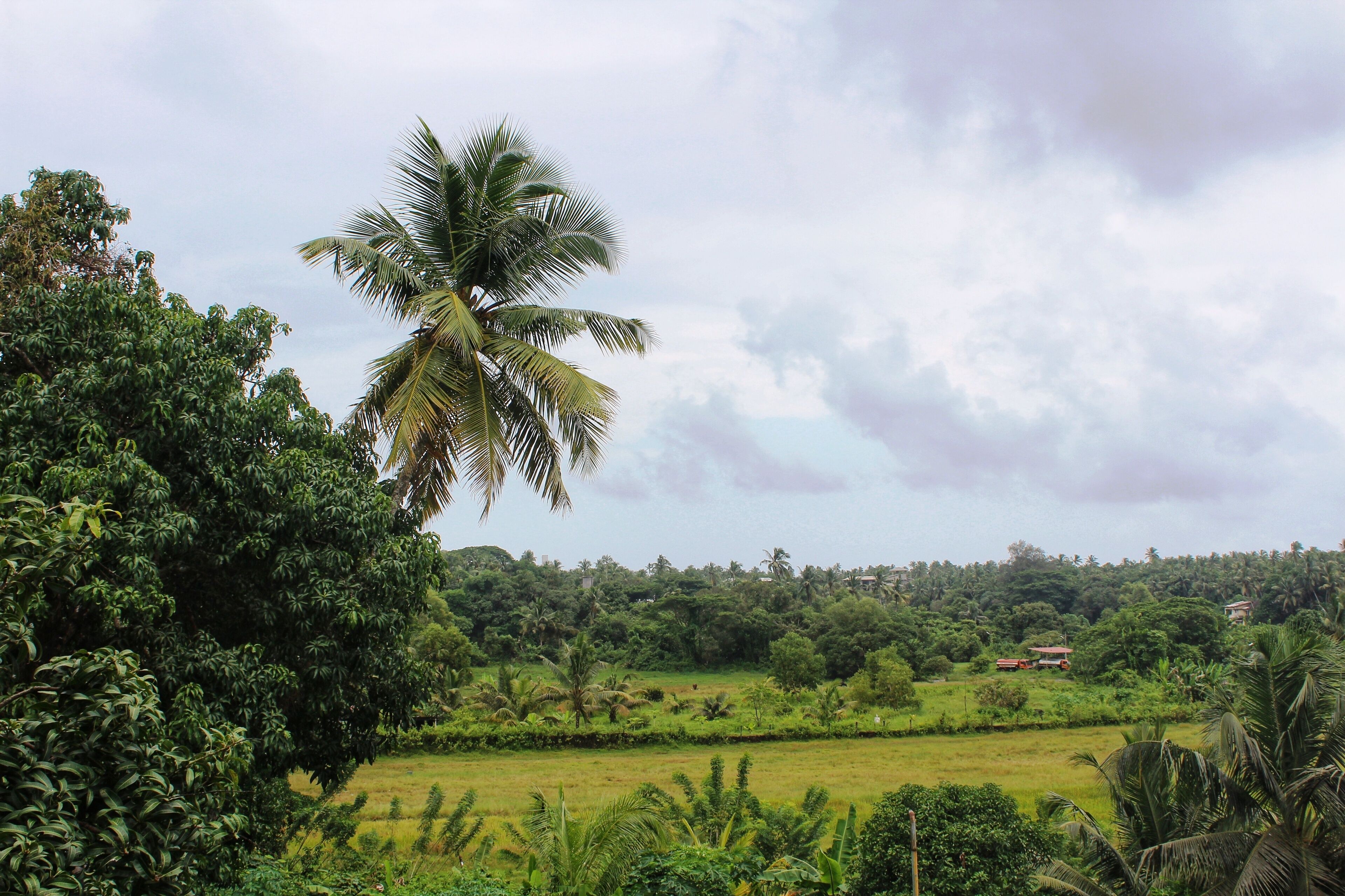 Foto - Aastha Escape Resort near Calangute Beach