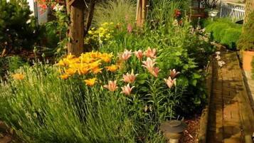 Jardin